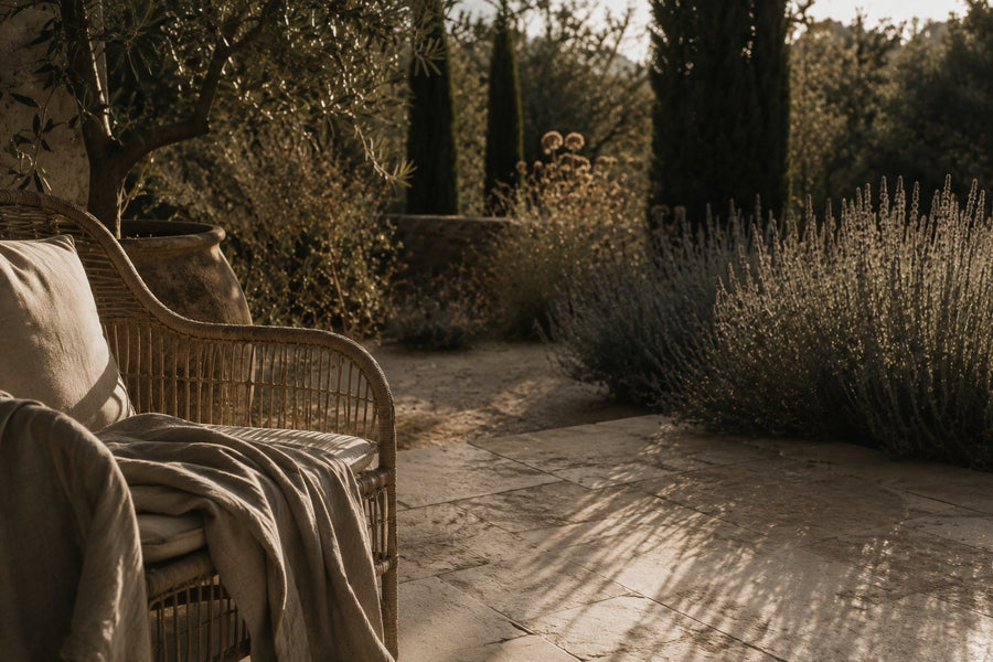 Terrasse en pierre en fin d'après-midi, fauteuil en rotin, lavandes et oliviers